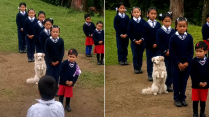 Dog Quietly Joins School Prayer in Sikkim, Wholesome Clip Melts Hearts