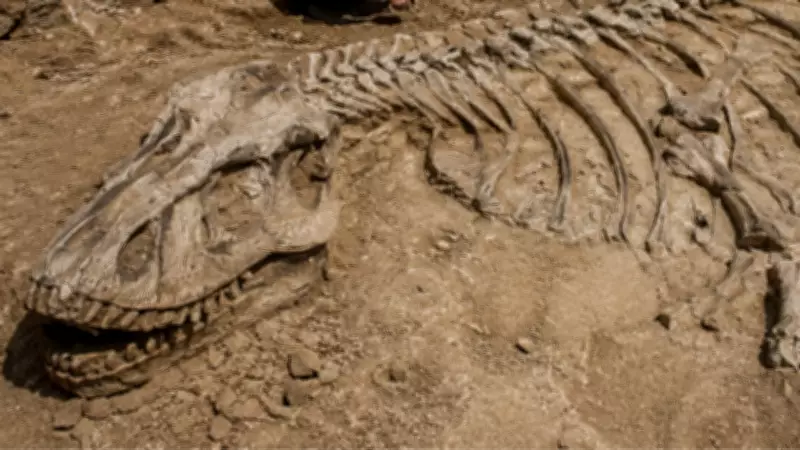 Dog Walk Leads to Discovery of 70-Million-Year-Old Titanosaur Skeleton in France