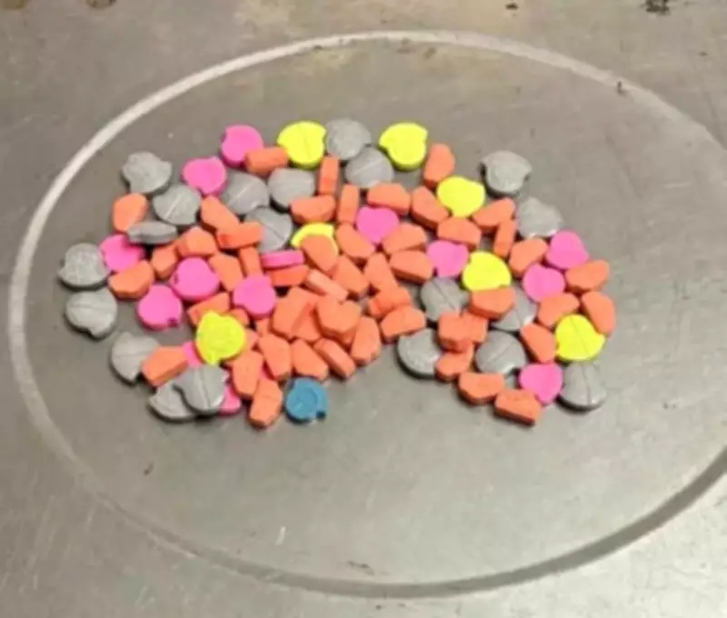 DRI Jaipur Arrests African Woman, Seizes Drugs Worth Rs 2.56 Crore