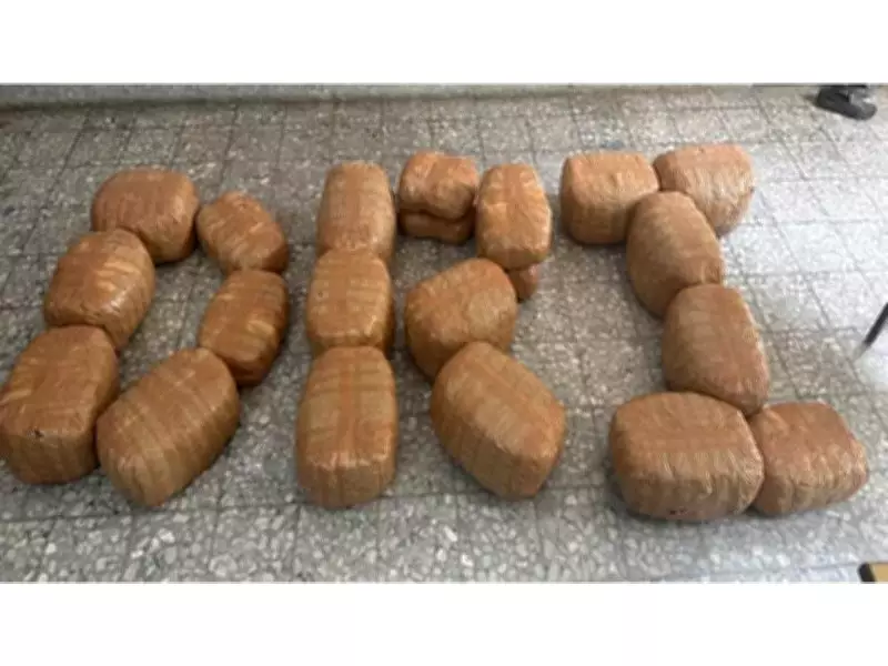 DRI Seizes 105 Kg Ganja in Bihar, Arrests 2; Narcotics Worth Rs 46.5 Crore Seized in State Over Past Year