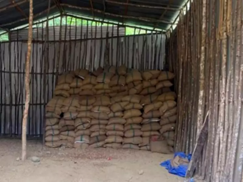 DRI Seizes 60,000 kg Smuggled Areca Nuts in Northeast India