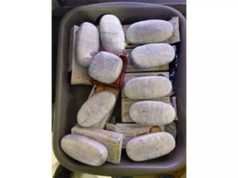 DRI Seizes Over 24 Kg Narcotic Drugs in Kerala Under Operation Chakravyuh