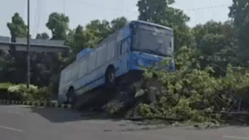 DTC Bus Brake Failure Averts Major Accident Near Rajghat in Delhi
