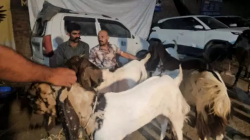 Durg Police Posed as Goat Traders, Census Officials to Nab Interstate Theft Kingpin