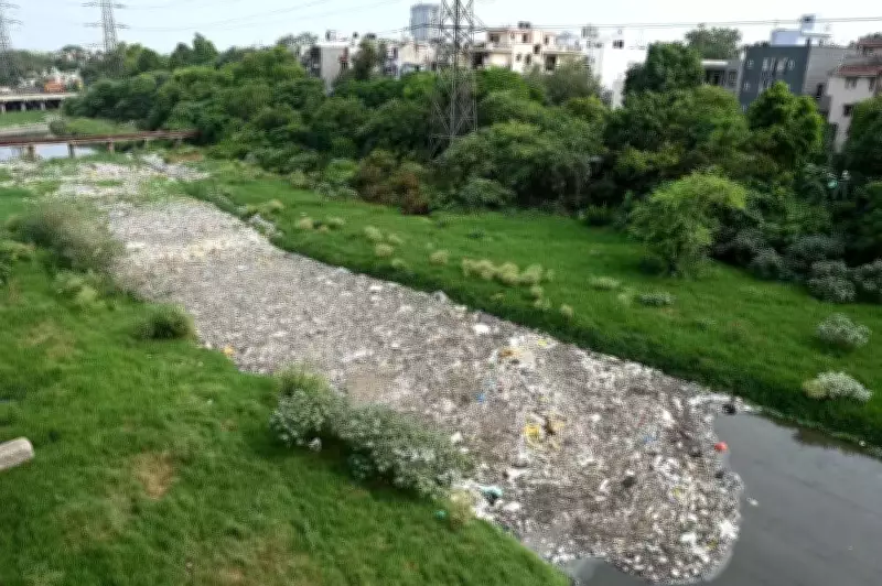 DUSIB Calls NGT's Single Discharge Point Order Impractical Due to Space Crunch