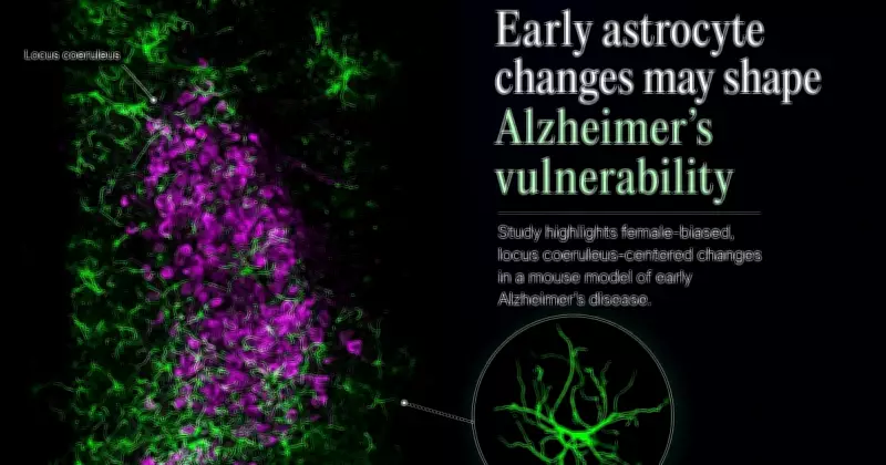 Early Alzheimer's Marker Found in Female Mice Study