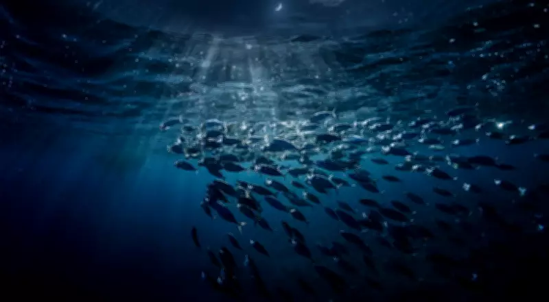 Earth's Greatest Hidden Migration: Trillions of Creatures Rise From the Deep Every Night
