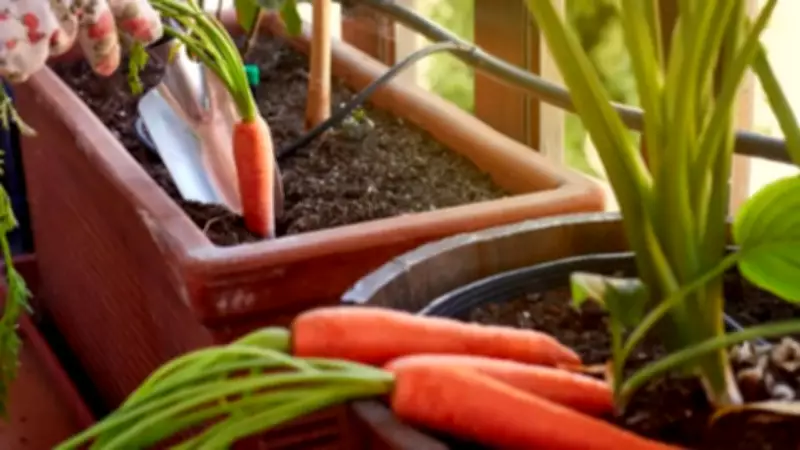 Easy Balcony Vegetables: Grow Fresh Produce at Home Guide