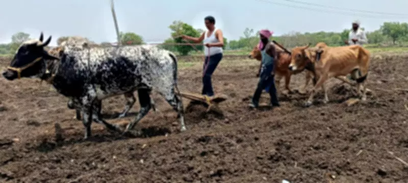 EC Approves Maharashtra's Farm Loan Waiver, Cabinet to Take Up Next Week