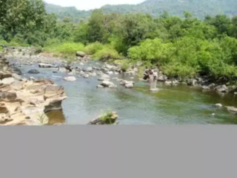 Ecological Risks of Mahadayi Diversion Highlighted in New Study