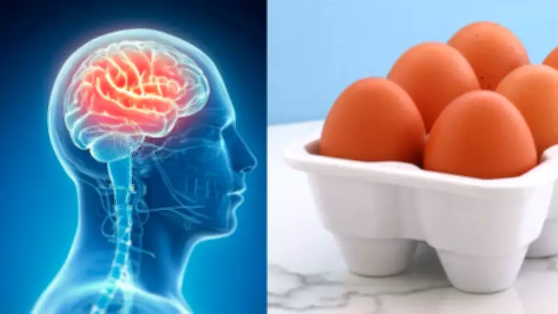Eggs Linked to Lower Alzheimer's Risk: New Study Shows 27% Reduction