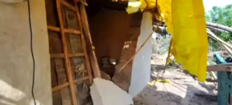 Elephants Damage Homes, Bear Injures Two in Chhattisgarh Wildlife Conflicts