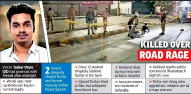 Engineering Student Stabbed to Death in Nagpur by Minors Over Street Fight