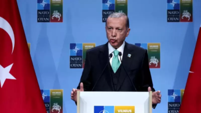 Erdogan's Baby Plea Falls on Deaf Ears as Turkey's Fertility Rate Drops