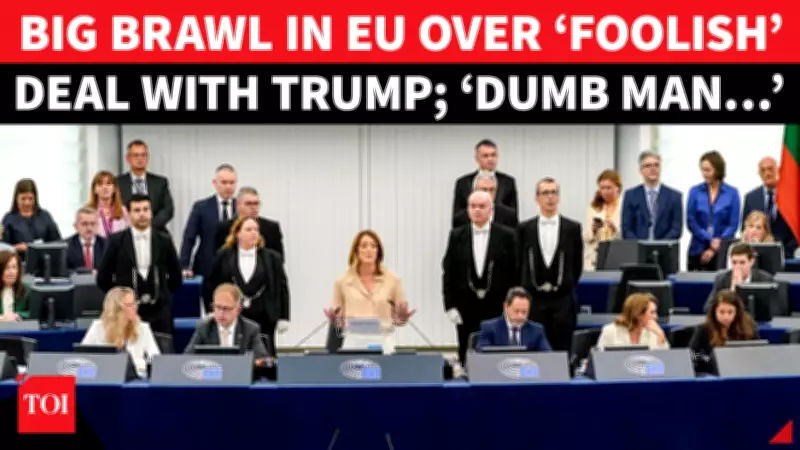 EU Lawmaker Lashes Ursula von der Leyen Over ‘Stupid’ Trump Trade Deal