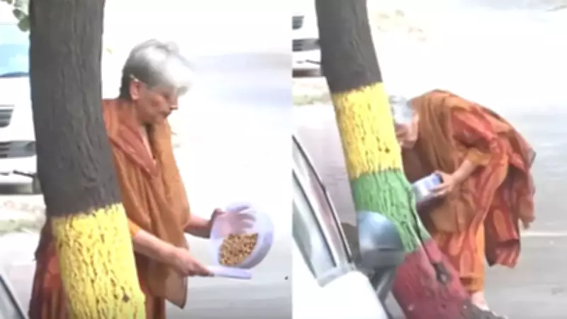 Ex-judge's bail quashed in dowry death case, seen feeding stray dog