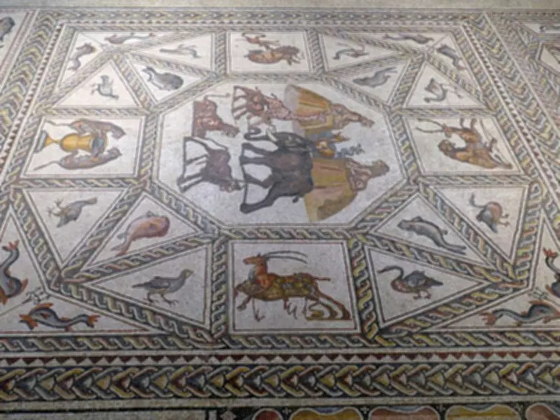Extraordinary Roman Mosaic Discovered Beneath Road in Israeli City of Lod