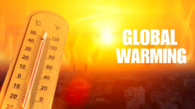 Extreme Heat Era Set to Begin: UN Warns Next Five Years Will Break Records