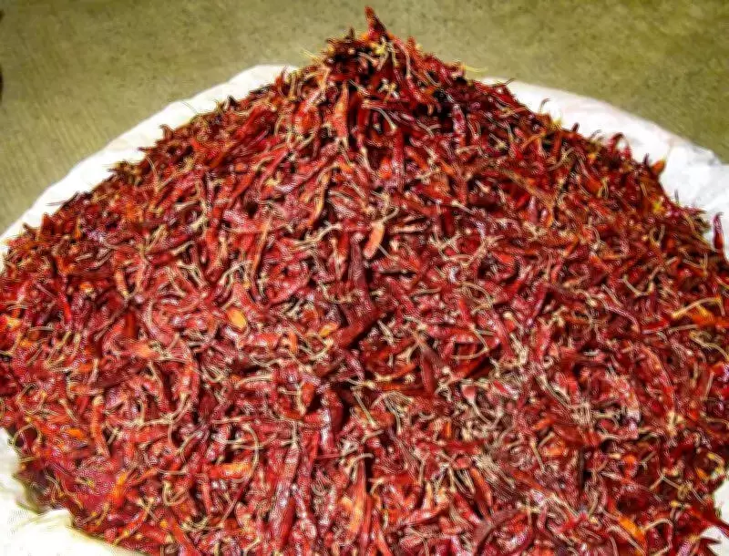Farmer alleges Rs 50 lakh worth chillies fraudulently sold from cold storage in Haveri