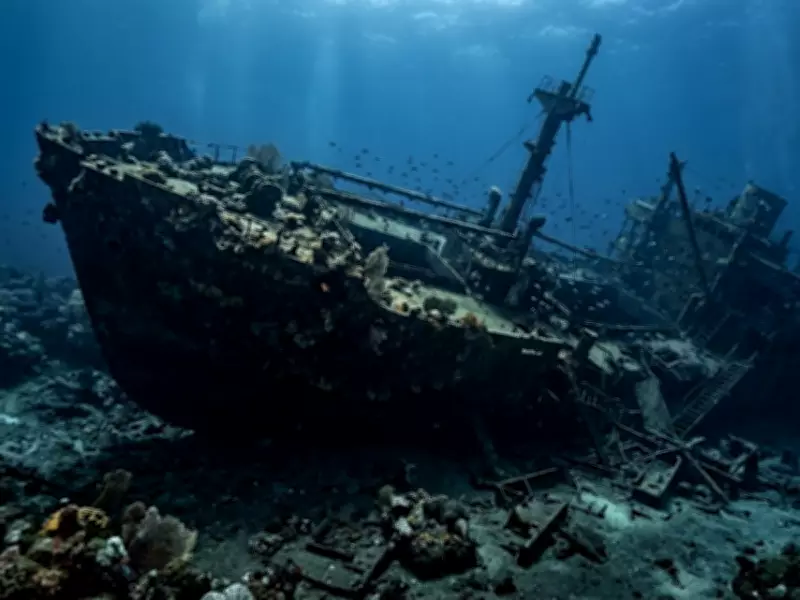 Father-Daughter Fishing Trip Uncovers 1871 Shipwreck Linked to Deadly Wildfire