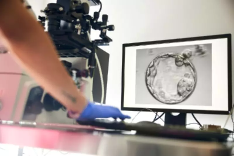 Fellowship in Clinical Embryology: A New Career Path in Assisted Reproduction