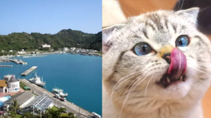 Feral Cat Removal Triggers Rapid Ecosystem Recovery on Japan's Chichijima Island