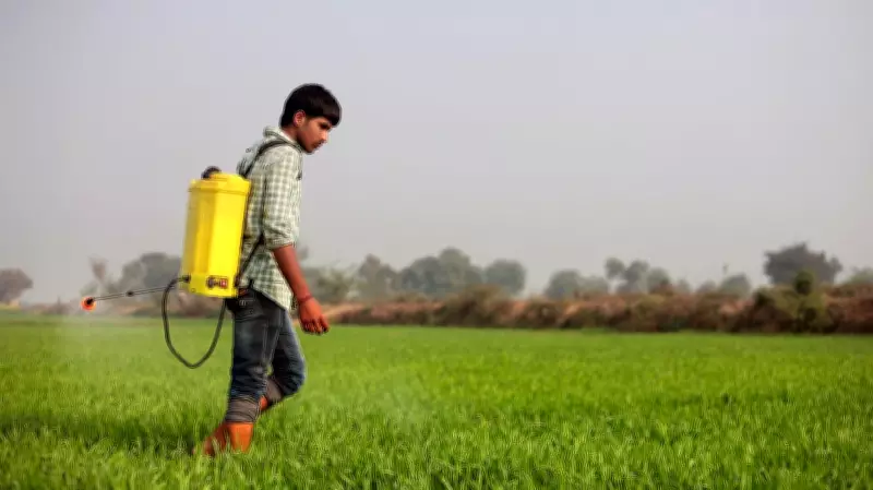 Fertiliser Crisis: India Must Rethink Agrifood Support Policy for Diversification