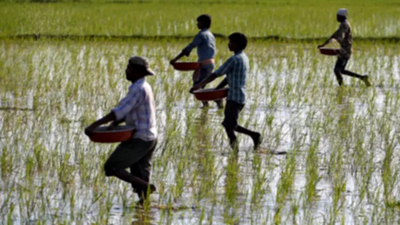 Fertiliser subsidy bill to surge by Rs 70,000 crore to Rs 2.41 lakh crore
