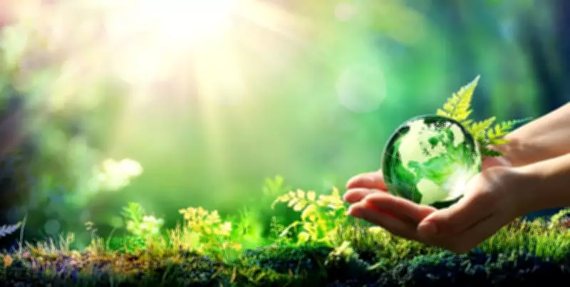Finding the Meaning of Life Sustainably: A New Perspective on Purpose