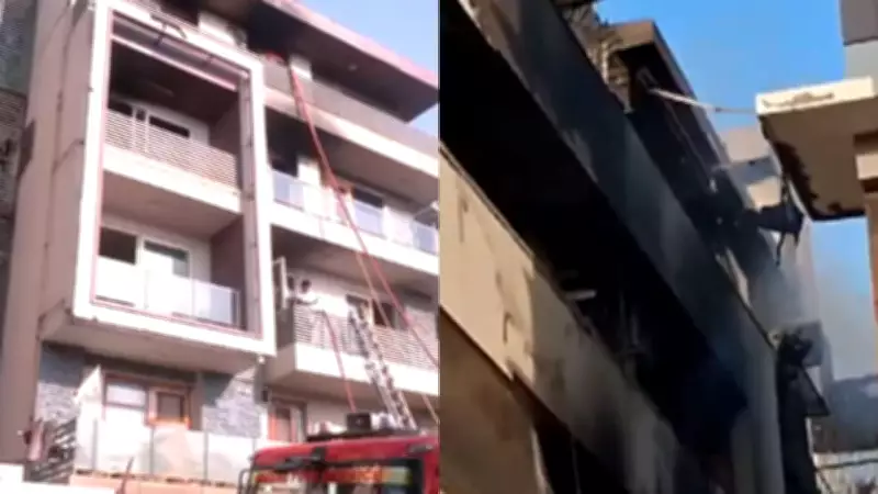 Fire in Delhi's Vivek Vihar: 3-4 Bodies Recovered, Rescue Ops On