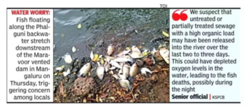 Fish Death in Mangaluru Phalguni River Triggers Probe by KSPCB