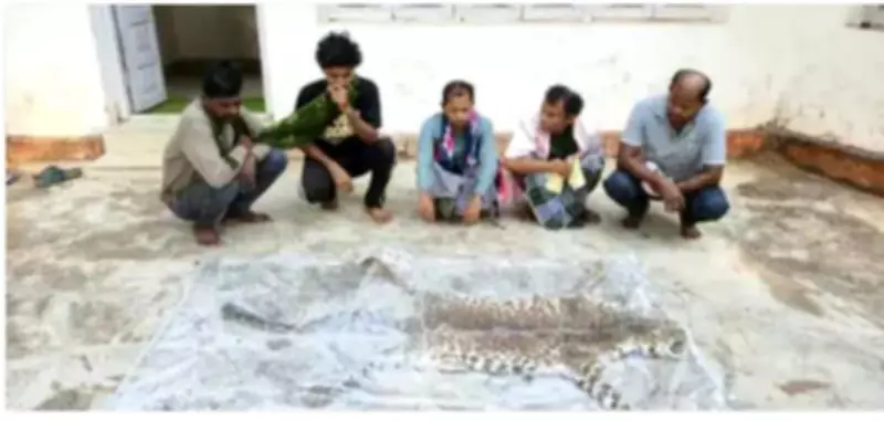 Five Poachers Arrested for Killing Leopard in Chhattisgarh's Dantewada