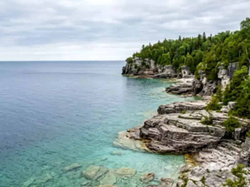 Five US Northern Lakes and Rivers With High Snake Populations Revealed