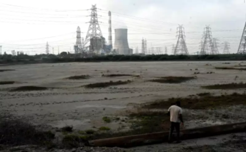 Fly Ash Crisis in Ennore: Residents Suffer as Cleanup Lags Four Years After NGT Order