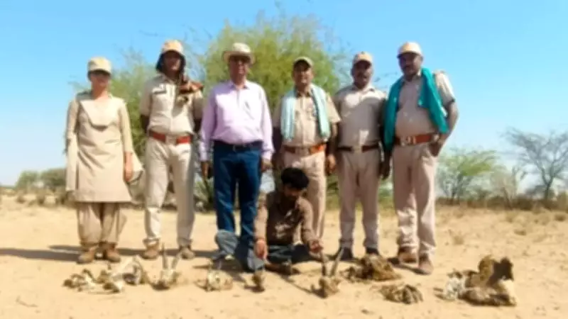 Forest Dept Arrests Mastermind in Chinkara Poaching Cases in Jaisalmer