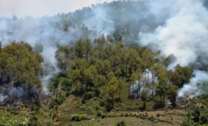 Forest Fires in Western Himalayas Moving to Higher Altitudes: CSIR-IHBT Study