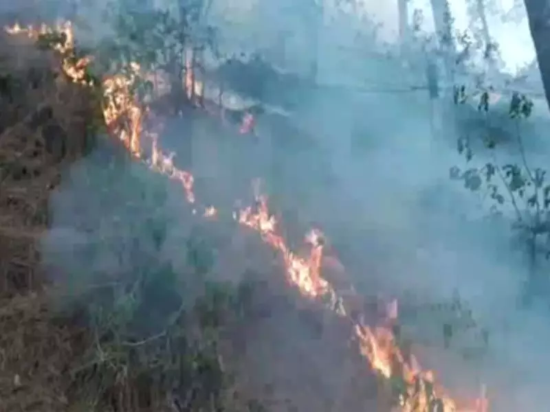 Forest Fires Rage Across Multiple Locations in Rajouri, Firefighting Ops Underway