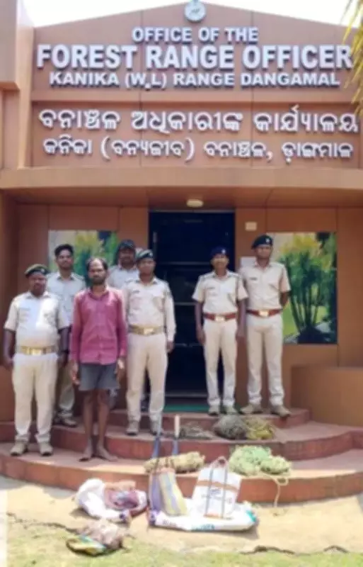 Foresters Seize 20 kg Spotted Deer Meat in Bhitarkanika, Poacher Arrested
