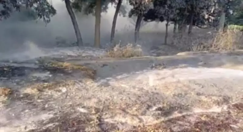 Four Children Burned by Hot Ash Dumped on Highway in Bijnor