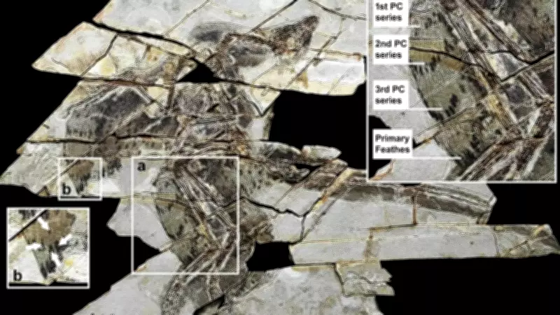 Four-Winged Dinosaur Fossil in China Challenges Bird Flight Evolution Timeline