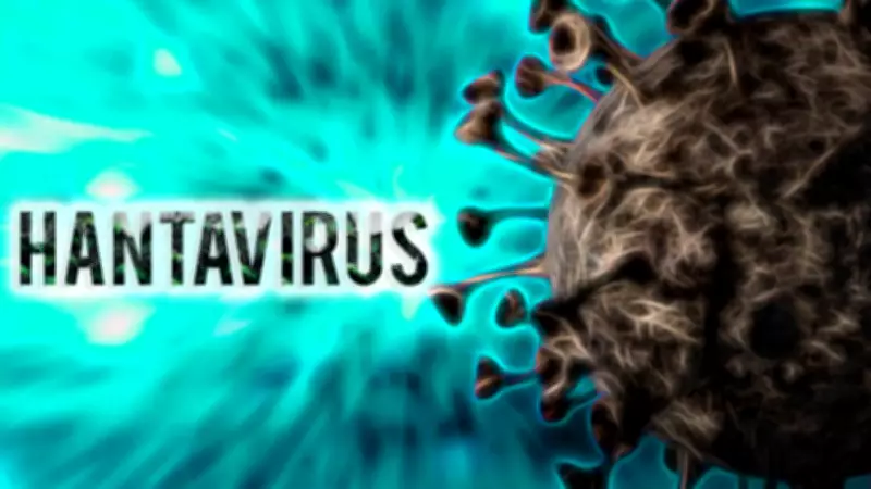 French Woman Critically Ill in Hantavirus Outbreak on Cruise Ship