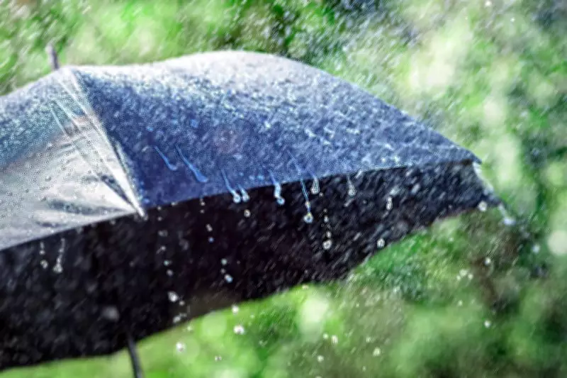 Fresh Western Disturbance to Bring Week-Long Wet Spell in Punjab, Haryana