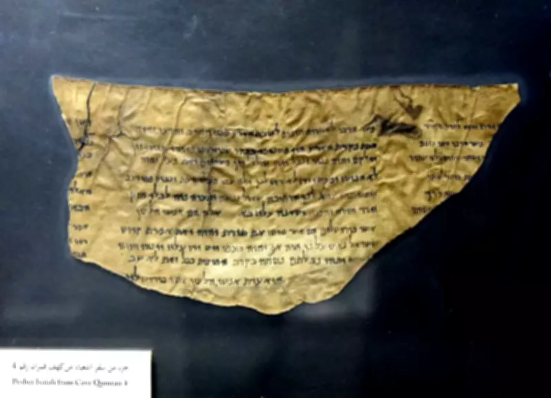 From a Lost Goat to the Dead Sea Scrolls: A Shepherd's Discovery