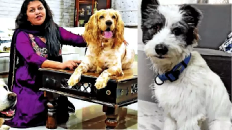 From Abandoned to Adored: Rescued Dogs Find Loving Homes and Families