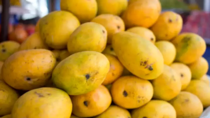 From Gadha to Hara*****: 10 Unique Mango Varieties Enjoyed in India