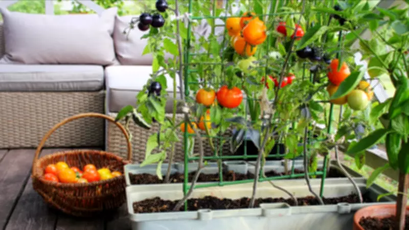From Peels to Plenty: A Journey of Home Gardening and Growth
