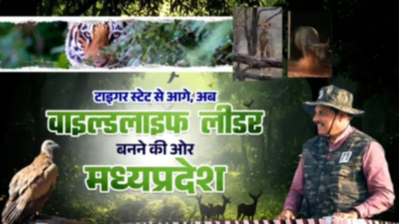 From Tiger State to Wildlife State: MP Rewrites India's Conversation Map