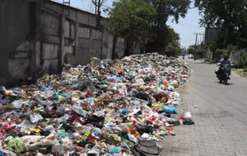 Garbage Dump in Nawanshahr's Oldest Colony Raises Concerns on MC Polls Day