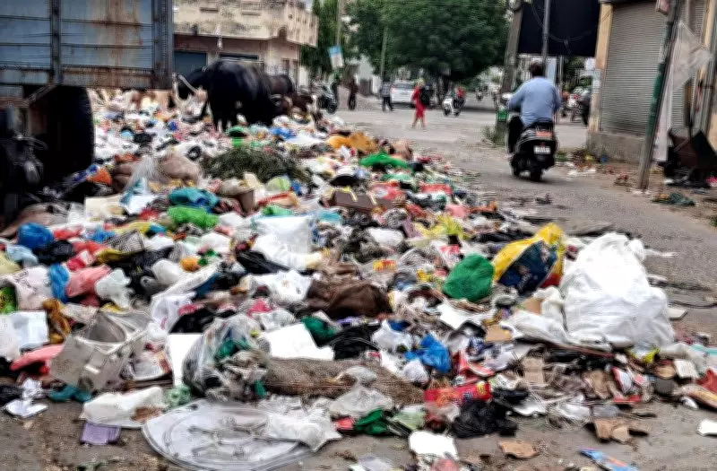 Garbage Piles Up in Shimla as Sanitation Workers Continue Strike