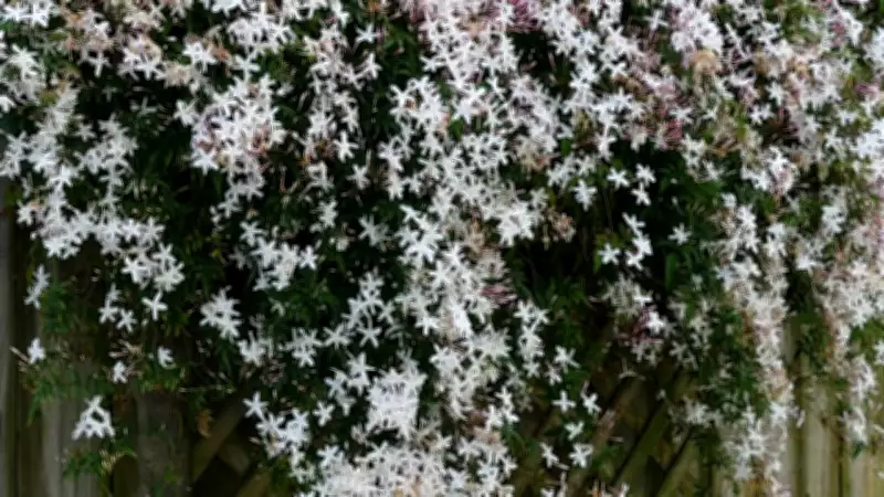 Garden Plants That May Attract Snakes and Scorpions